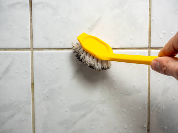 Best Mold Testing  in Escondido, CA