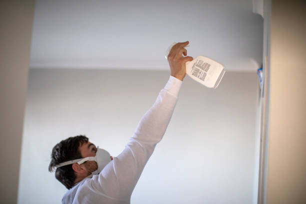 Best Office Mold Removal Services  in Escondido, CA