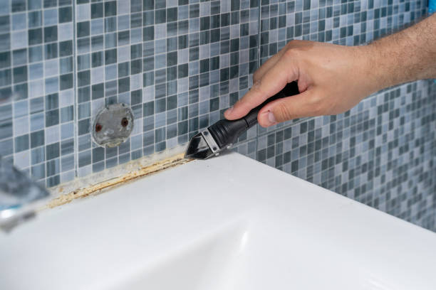 Best Mold Testing  in Escondido, CA